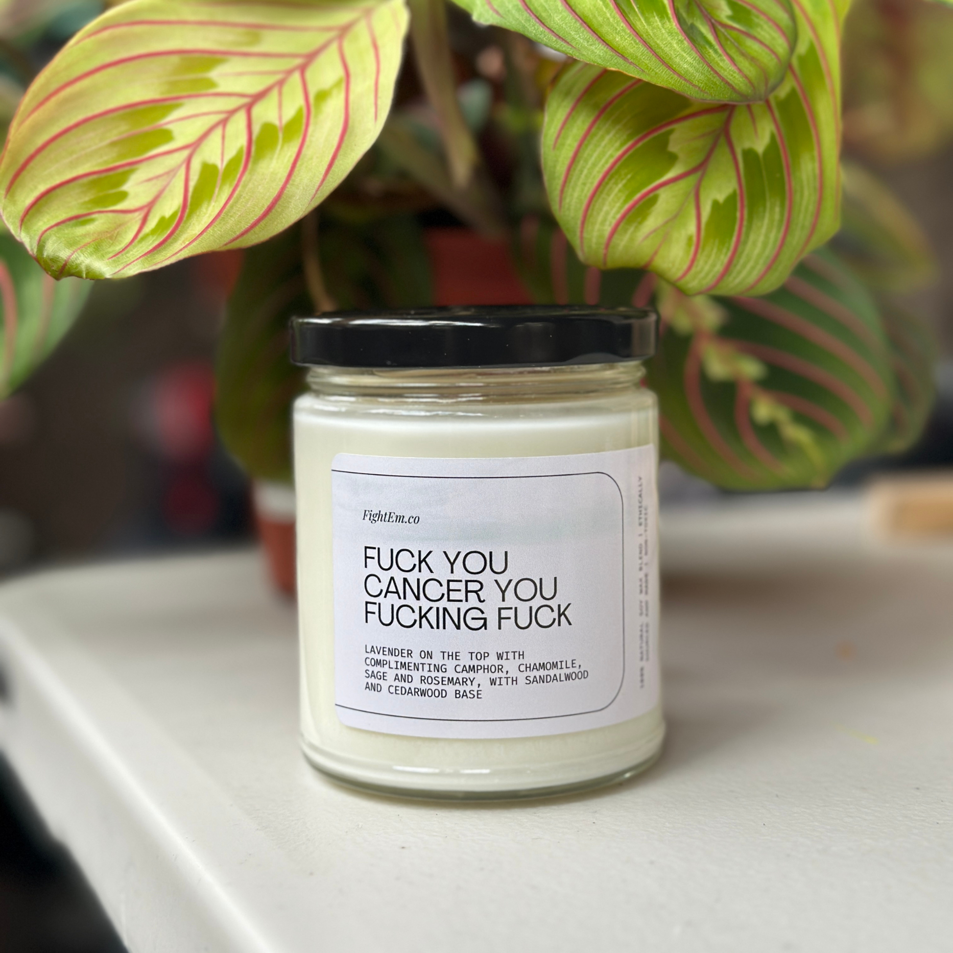 F*ck You Cancer Scented Soy Candle