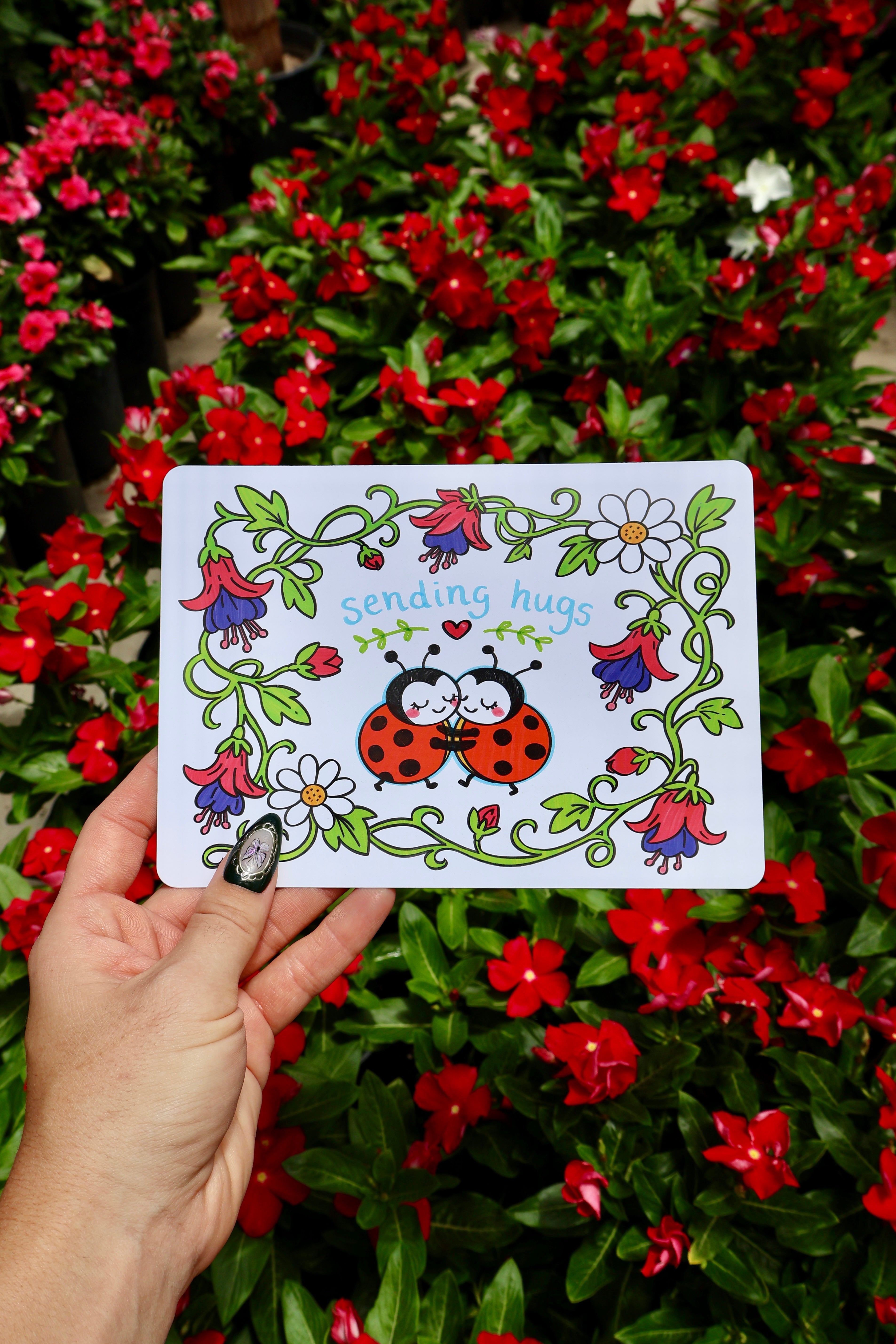 Postcards & Prints