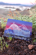 Sending Hugs Postcard (7 x 5 in)