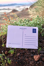 Sending Hugs Postcard (7 x 5 in)