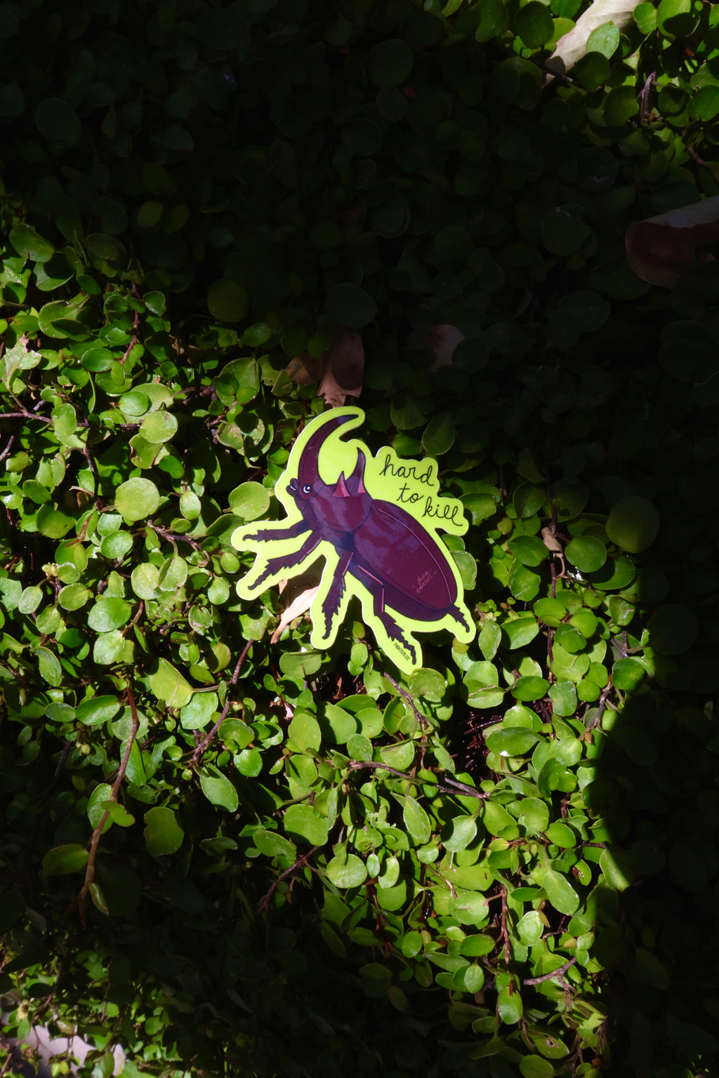 Hard to Kill Rhino Beetle Sticker